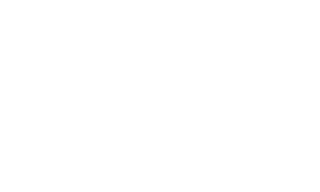 Daniel Mordechai Team Logo
